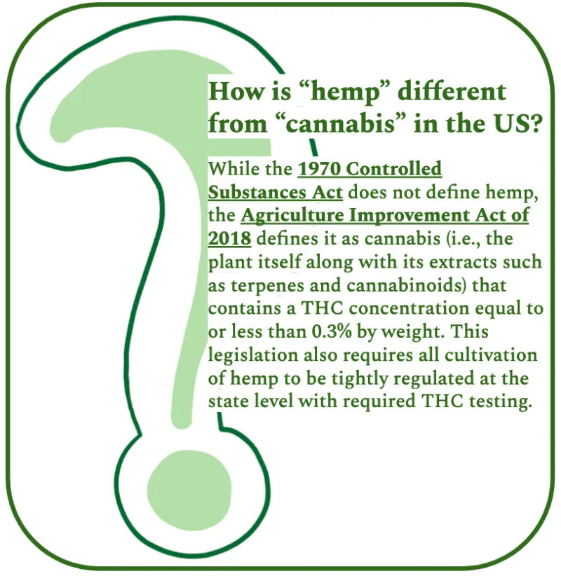 More Than Just CBD: Understanding the Entourage Effect and How to Choose Between Full-Spectrum, Broad-Spectrum, and Isolate Products