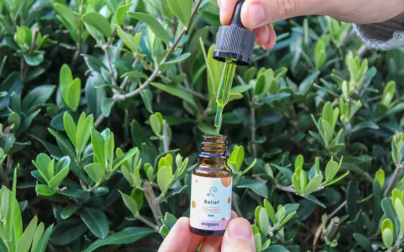 Follow Your Nose: How Terpenes Shape the Character (and Effects) of Your CBD Oil